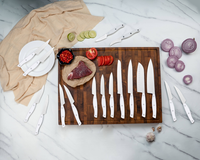 JJ OEM 17-piece Stainless Steel 3cr13 Chef Kitchen Knife Set with ABS Handle
