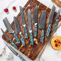 JJ Damascus Kitchen Knife Set 67 Layers Resin Abalone Handle 10 Piece