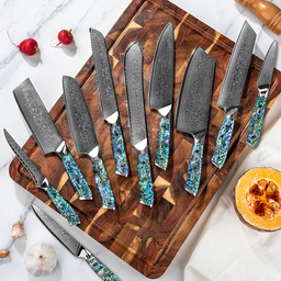 JJ Damascus Kitchen Knife Set 67 Layers Resin Abalone Handle 10 Piece