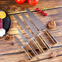 JJ High Quality Stainless Steel Pakka Wood Handle Kitchen Knife Set Urable sharp Forged 5 PCS Chef Knife Set