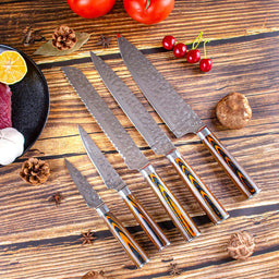 JJ High Quality Stainless Steel Pakka Wood Handle Kitchen Knife Set Urable sharp Forged 5 PCS Chef Knife Set