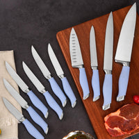 JJ 11 Pieces Wood Block 3cr13 Stainless Steel Chef Knife Kitchen Knife Set with Blue ABS Handle