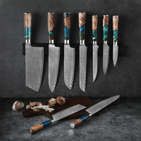 JJ Chef Cooking 67layers VG10 Damascus Knife Set Japanese Kitchen Knives Blue Resin Handle Damascus Steel Knife