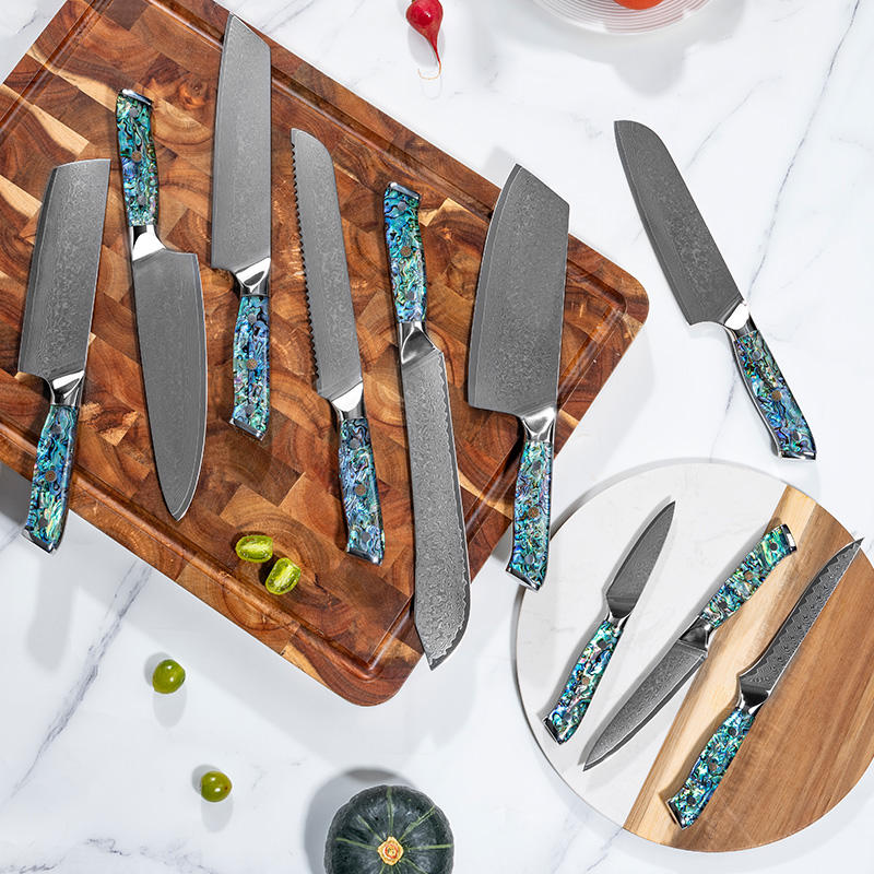 JJ Damascus Kitchen Knife Set 67 Layers Resin Abalone Handle 10 Piece