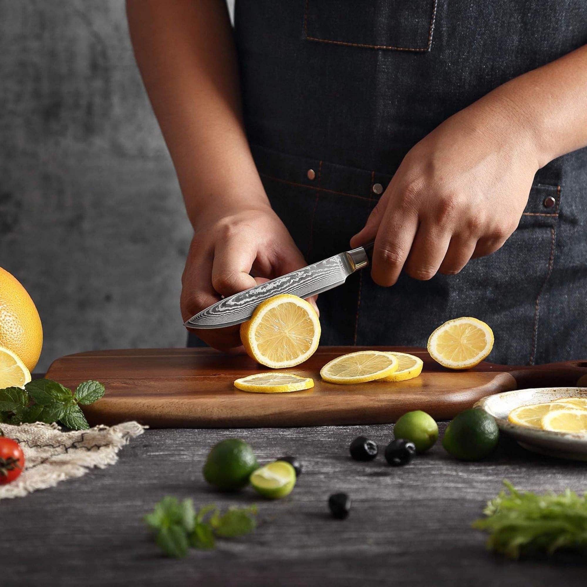 JJ 67 Layers Damascus Utility Knife Pakka Wood Handle 5"