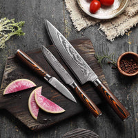 JJ Damascus Kitchen Knife Set 67 Layers VG-10 Pakka Wood 3 Piece
