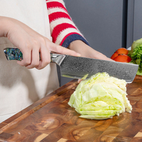 JJ Damascus Kitchen Knife Set 67 Layers Resin Abalone Handle 10 Piece