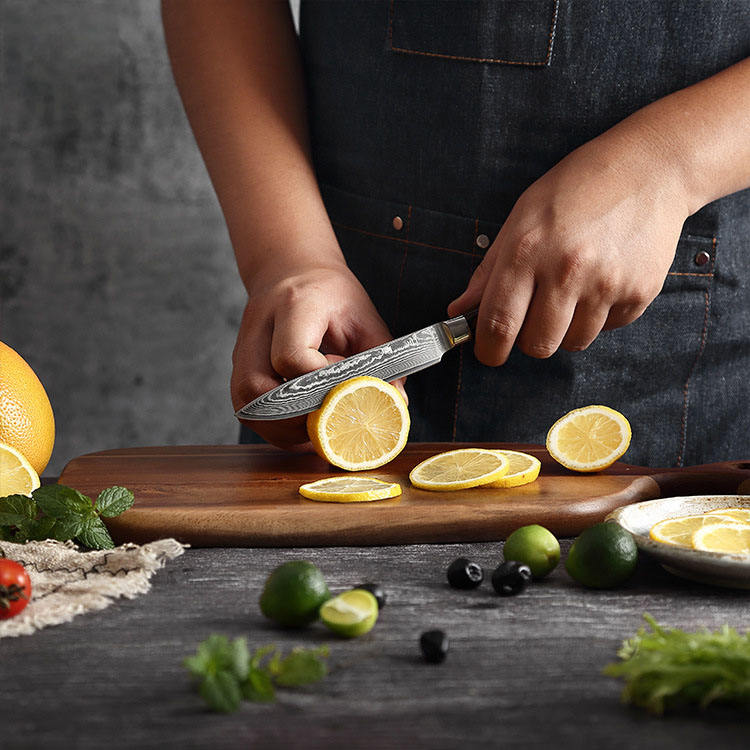 JJ Damascus Kitchen Knife Set 67 Layers VG-10 Pakka Wood 7 Piece