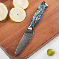 JJ Damascus Kitchen Knife Set 67 Layers Resin Abalone Handle 10 Piece