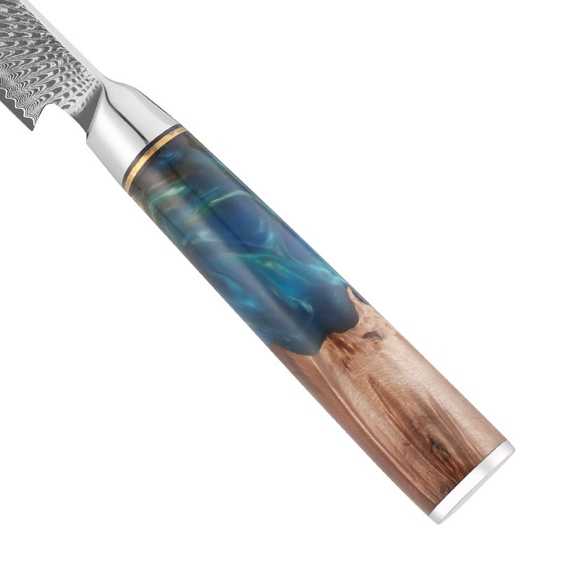 JJ Chef Cooking 67layers VG10 Damascus Knife Set Japanese Kitchen Knives Blue Resin Handle Damascus Steel Knife