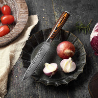 JJ 67 Layers Damascus Utility Knife Pakka Wood Handle 5"