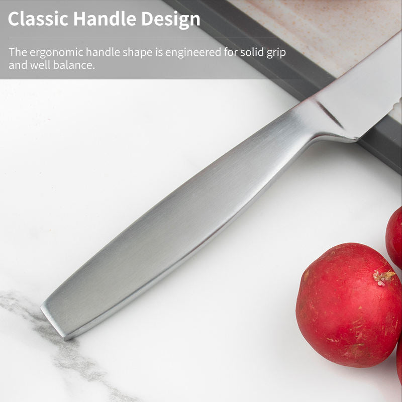 JJ 4.5" 2Cr13 Stainless Steel Steak Knife Set | 6PCS