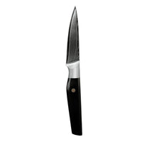 JJ 3.5" Paring Knife Japanese 67 Layers Damascus Steel with Octagonal G10 Handle Custom Kitchen Knife