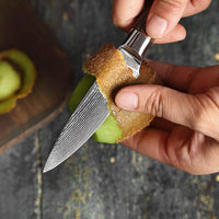 JJ Damascus Kitchen Knife Set 67 Layers VG-10 Pakka Wood 7 Piece