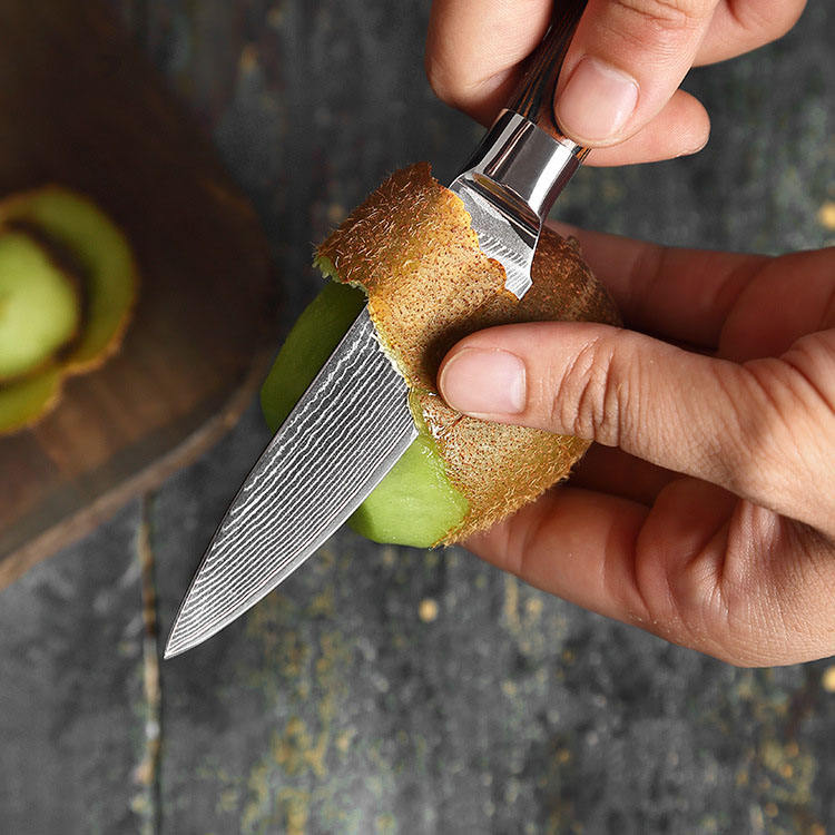 JJ Damascus Kitchen Knife Set 67 Layers VG-10 Pakka Wood 7 Piece