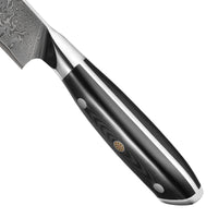 JJ Professionelles Edelstahl-Küchenmesserset Kochmesserset G10-Griff VG10 Damastmesserset