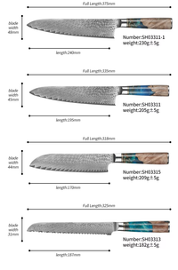 JJ VG-10 Damascus Kitchen Knife Set 67 Layers Blue Resin Handle